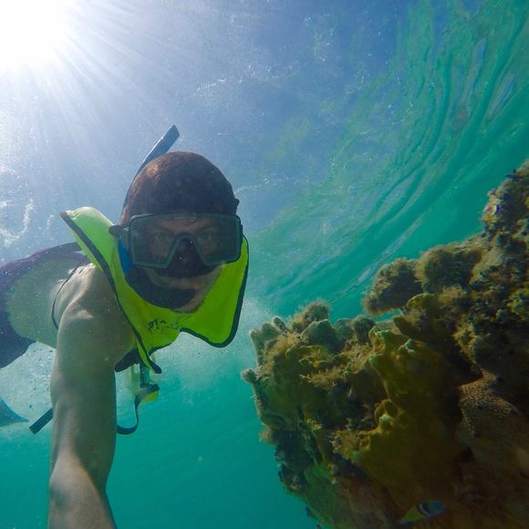 Meet your Posher, Alexandro - Picture 1 of 1